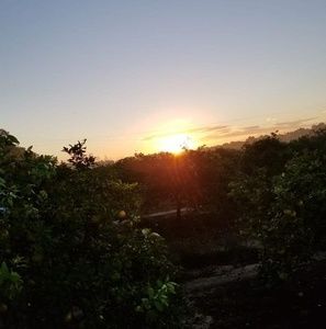 Meet your Posher, Dieu